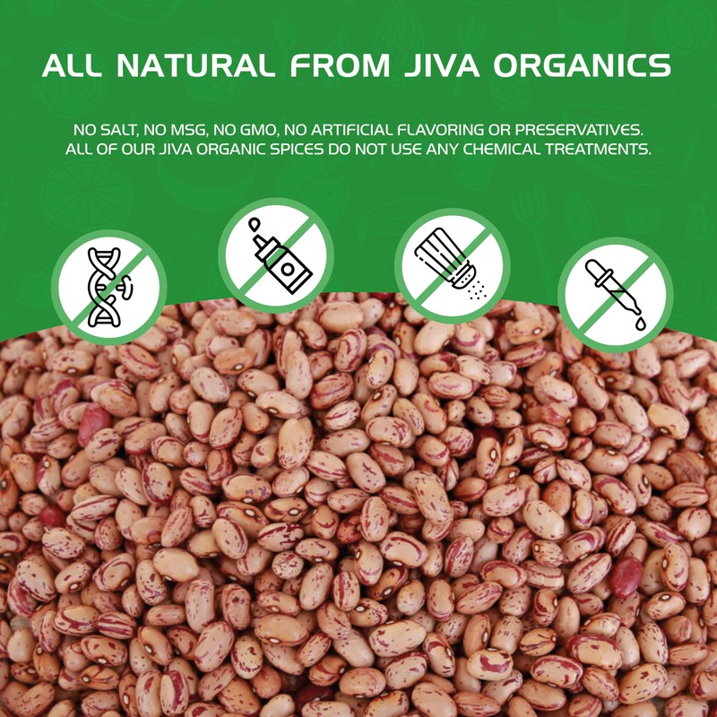 Jiva Organic Light Red Kidney Beans Speckled Whole (Rajma Chitra)