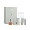 2 types of mugwort gift set / 개똥쑥 2종 기획세트