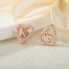 Anoup Rose Gold Earrings Studs - Hypoallergenic Stud Earrings for