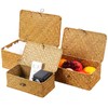 3 Pack Wicker Storage Basket with Lid Rectangle Hand Woven