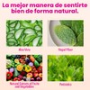 VIVRI Cleanse Me! Bebida Digestiva Fresa con Prebióticos 30 Porciones
