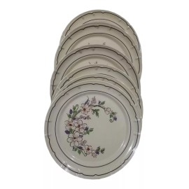 PLASICOS GENERICOS Plato Extendido Trinche De Melanina Paquete De 6 Pzs