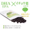 大日ヘルシーフーズ DHA EPA イチョウ葉 40粒入×6袋（120日分） 大豆レシチン ビタミンE 配合 サプリ