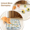 Baeruuss Interactive Cat Toys for Indoor Cats Cat Gifts Sea