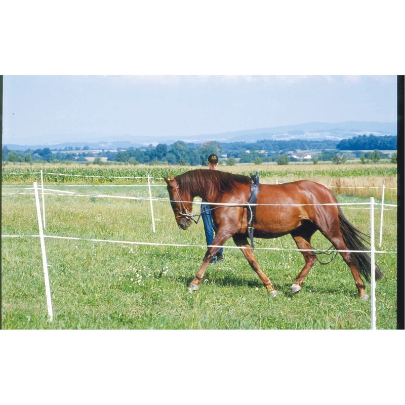 Lunging Aid Lunging Training System | Lunge Rein Longing System