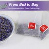 TEARELAE - Lavender Tea, 40 Count - Premium Dried Lavender