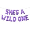 She's A Wild One Balloons Girl's 1st Birthday Party Banner