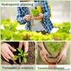 Garden Pods,DECYOOL 80pcs Hydroponic Pods Kit,Grow Anything Kit with 20