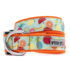 The Worthy Dog Tutti Frutti Lead - Durable, Spruce Up Your Pup's Walks Stylish Collar for Dogs and Cats Extra Small Blue