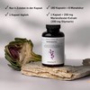 Kurkraft Milk Thistle, Artichoke, Dandelion, Desmodium, TÜV Laboratory Tested, 120