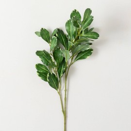 Sullivans Fake Plants, Pittosporum Stems for Indoor 30" Artificial Cheesewood Greenery Faux Life-Like Spray Leaf Stem, Perfect for Vase Arrangement in Living Room Home & Office Décor Shelf Decorations