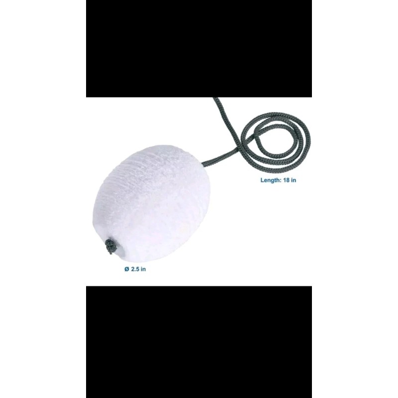 Mainstays 2-Pack of Spa Scum Sponges for Small Pools &