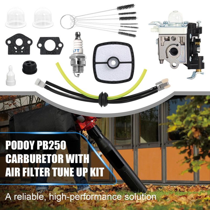 Podoy PB250 Carburetor Compatible with Echo PB-250 PB-250LN ES-250 RB-K106