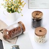 RareCi Glass Storage Jar, Food Storage Container with Airtight Bamboo