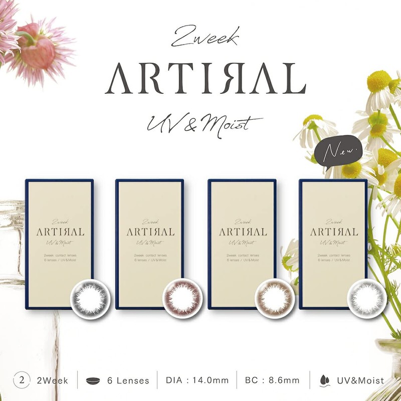 アーティラル２ウィークUV＆モイスト （ダークブラウン PWR:±0.00） 1箱6枚入り artiral カラコン 2week 度あり 度なし 14.0mm