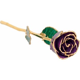 Gold Dipped Rose 24K Real Flower, 12 inch long stem, 24k Gold Plated Real Rose, Gifts for Mom, Birthday Gift for Women, Mothers and Valentines Day, Rose for Anniversary (Purple Lacquer)