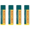 Burt's Bees Bálsamo labial refrescante con aceite de menta, paquete