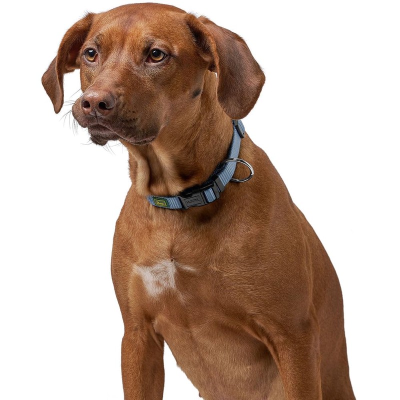 Hunter Vario Plus Nylon Dog Collar, 35/53 cm, Red