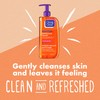Clean & Clear Essentials Foaming Facial Cleanser, 235ml
