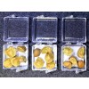 Amazing Beans 15 Mexican Jumping Beans. 3 Cases With 5