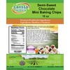 Semi-Sweet Chocolate Mini Baking Chips (16 oz, ZIN: 526490)