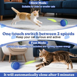 Palksky Automatic Interactive Cat Toy Ball for Bored Indoor Cats Enrichment, Speedy Moving Tail 3.0 Cat Toy Rolling Ball, Chirping & Motion Activate Stimulation Cat Toys for Kitten/Cats (Blue)