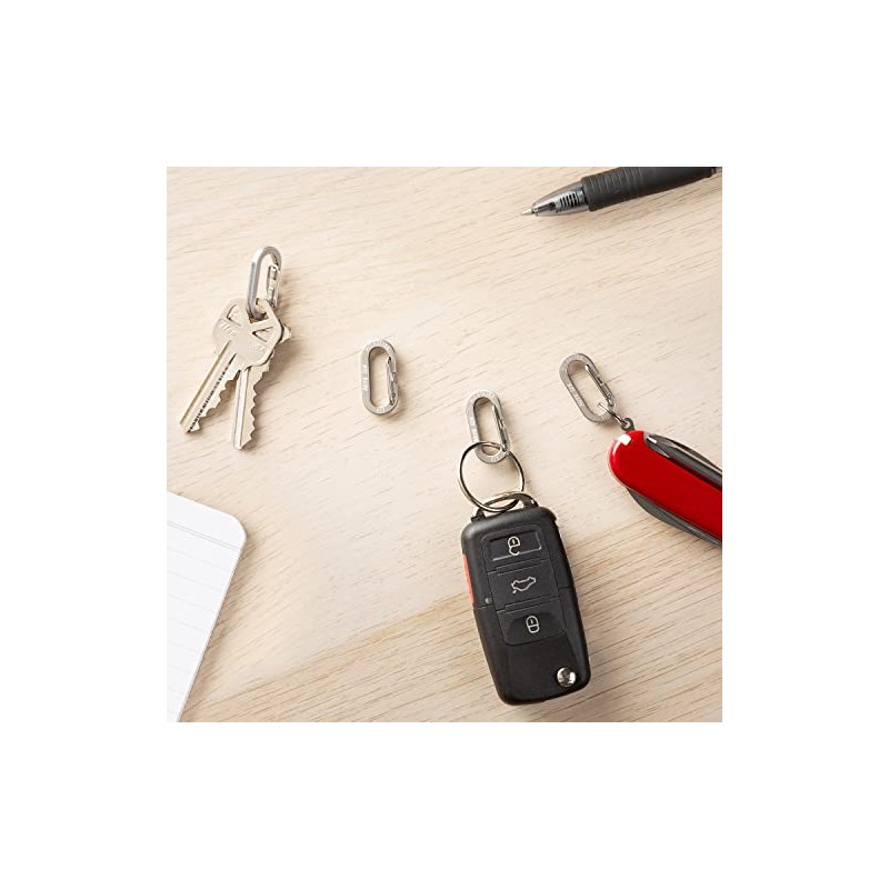 Nite IZE MicroLink Mosquetón, Mini llaveros de Acero Inoxidable para