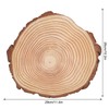 Natural Wood Slices Unfinished Wood Circles Ornaments Irregular Wood Slices