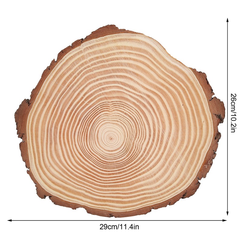 Natural Wood Slices Unfinished Wood Circles Ornaments Irregular Wood Slices