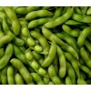Mai's Family BeSweet Edamame Soy Bean Seeds | USA Non-GMO