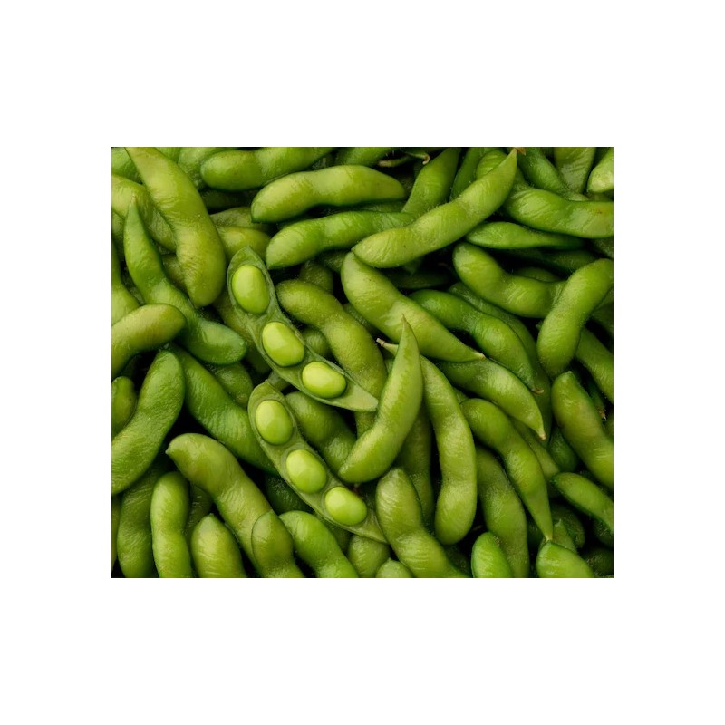 Mai's Family BeSweet Edamame Soy Bean Seeds | USA Non-GMO