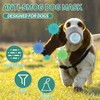 3pcs Adjustable Dog Gas Mask, New Creative Dog Puppy Face