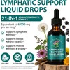 Lymphatic Drainage Drop, 6000mg Equivalent Per Serving