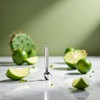 Silver Cactus Peeler - Stainless Steel Cactus Peeler Tool, Cactus