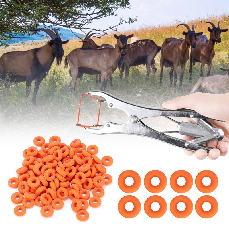 100Pcs Rubber Elastic Sheep Cow Pig Tail Castration Pliers Rings