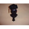 TY BO 2.0 PORTUGUESE WATER DOG BEANIE BABY- MWMT- PLAY