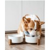 LE TAUCI LE TAUCI Dog Bowl Set with Acacia Wood