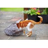 Petface Angry Mouse Cat Crinkle Bag,Grey