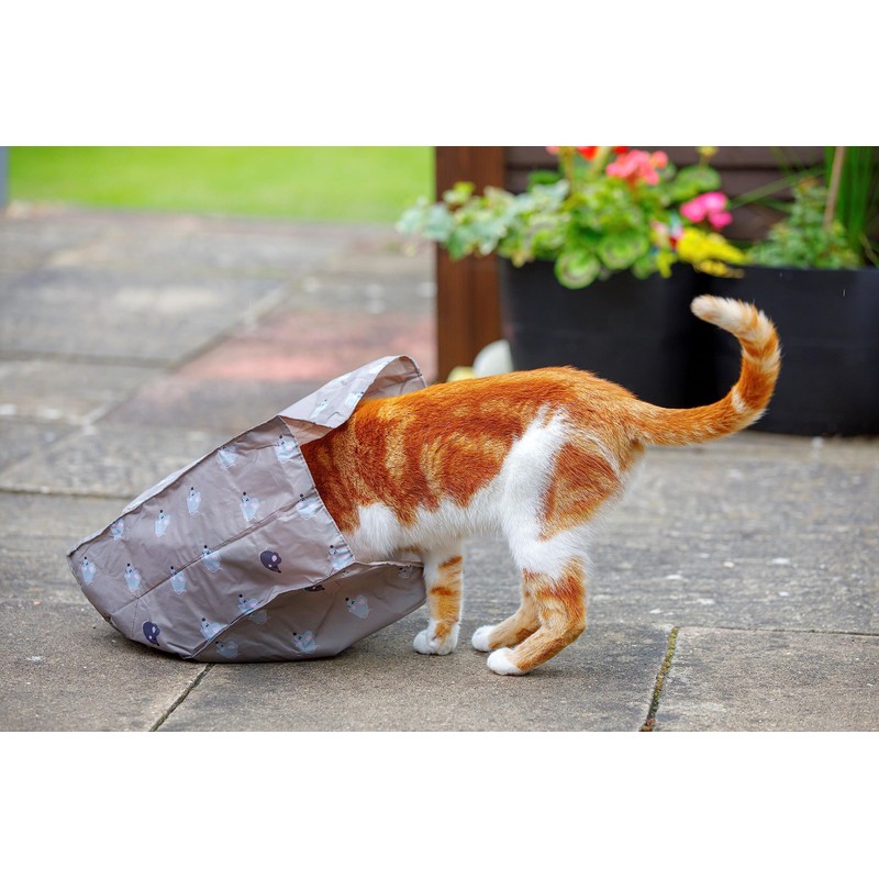 Petface Angry Mouse Cat Crinkle Bag,Grey