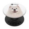 AKC Samoyed Photo PopSocket