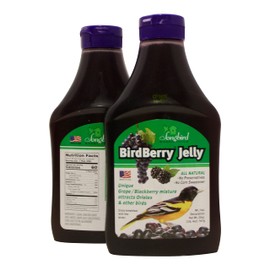 Songbird Essentials 20 Ounce BirdBerry Jelly Squeeze Bottle Bird Feeder Jelly, Grape and Blackberry Jelly Made Just for Birds [Pack of 3]