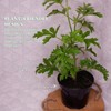 WBNYX 20.5 Inch Plant Pot Cover,Durable Cat & Dog Digging