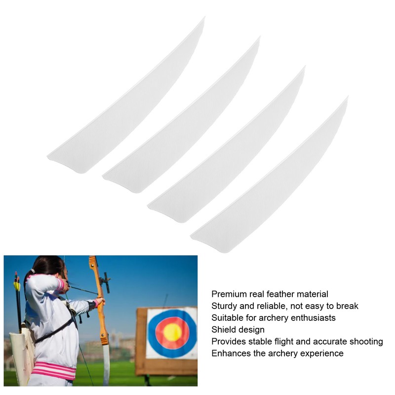 20pcs Feather Fletching High Speed Stable Flight Archery Arrows for