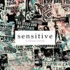 Sensitive: an indie pop anthology [VINYL]