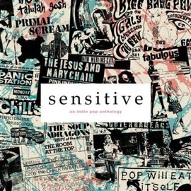 Sensitive: an indie pop anthology [VINYL]