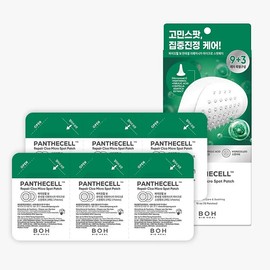 Bioheal Bo Pantecell Repair Cica Micro Spot Patch 9+3 sheets / 바이오힐 보 판테셀 리페어시카 마이크로 스팟패치 9+3매