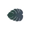 Lind DNA Monstera 989965 Glass Coaster Recycled Leather Nupo Dark