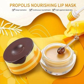 2Pcs Bee Balm Lip Balm Honey Pot Lip Mask,Propolis Moisturizing Honey Lip Mask Lip Balm Nourishing Anti-Wrinkle Lip Care,Restore Hydrate & Plump Dry Chapped Lips for Women
