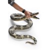 Dillon Realistic Giant Anaconda Snake foam-filled latex rubber snake 87"