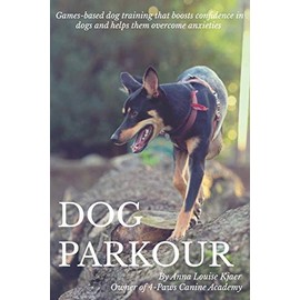 Dog Parkour: Games-based dog training that boosts confidence in dogs and helps them overcome anxieties.